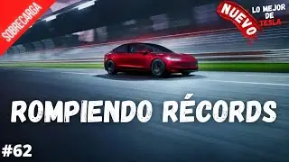 &iexcl;Tesla rompe r&eacute;cords en China, se corona como rey de autos el&eacute;ctricos y expande Giga Berl&iacute;n!