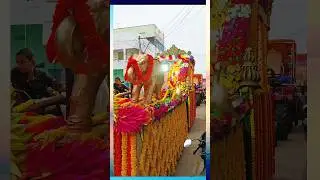 Velpuru gramam lo vinayaka chavithi celebrations #vinayaka #celebration #godhavari #festival #india