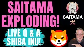 SAITAMA IS EXPLODING! LIVE Q & A! SHIBA INU! CRYPTO NEWS TODAY! BITCOIN NEWS!