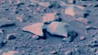 SHARK teeth on Mars???