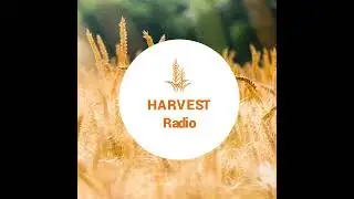 Episode 51: 