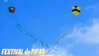 PIP&Atilde;O PRETO E BRANCO CORTOU V&Aacute;RIOS  PIPAS NESTE FESTIVAL #pipa #pipaoanotodo #kite 