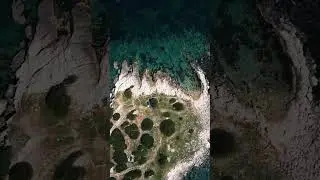 #NatureContrast #OceanicBeauty #NatureArtistry #SeaAndShore #ColorsOfNature #CaptivatingContrast