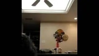 FightingLion's Video Message To YouTuber 
