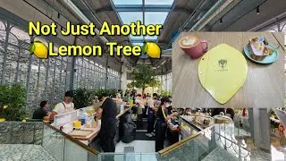 The Lemon Tree Cafe Tropicana PJ Petaling Jaya Outlet Selangor @explorefoodchannel