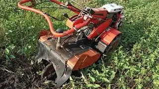 Đ&atilde; b&aacute;n - Test Kubota TG620 - Trung Long An  / 0903003900