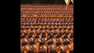 noni noni noni non noni noni non