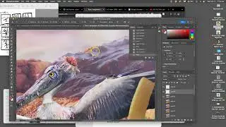 11  How to Use the Photoshop Timeline to Set Your Animation Frame Rate