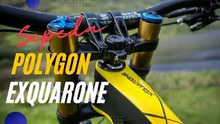 HARGA SEPEDA SULTAN POLYGON EXQUARONE EX