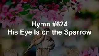 His Eye Is On the Sparrow
