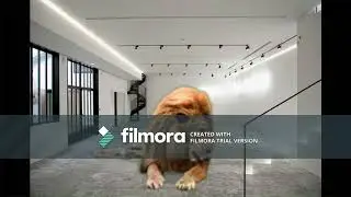 jhhhj