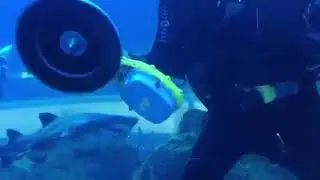 Cleaning the Dubai Mall Aquarium with Remora SOLO, Part 4