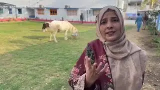 Pakistan k Pahlay International Standard Free School Mein Admission Kaisay Hongay ?