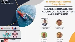 2) NATURAL GAS: G&G, RESERVES, DEMAND SIDE, EXPORT OPTIONS and ENERGY CRISIS