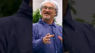 THE ORIGIN OF 420! | Growing Belushi