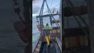 Fisheries boat turns up 