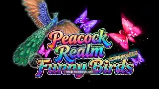 Peacock Realm Funny Birds Ocean King 5 Fish Game Boards