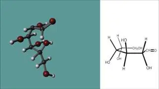 Il glucosio