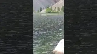 Phander Valley | Lake |Gilgit Baltistan Pk #youtubeshorts