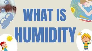 Humidity- Why does humidity make you feel hotter