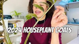 My Plant Goals For 2024 💚 7 Plants To Grow & Glow up