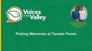 Picking Memories at Tanaka Farms #meetafarmer #familyfarm #california