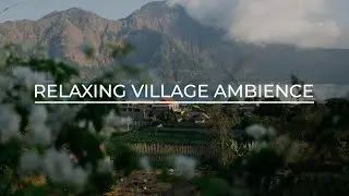Relaxing Farm Sounds | Countryside Ambience, Bird Songs | Stress Relief Background