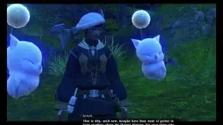 FFXIV - Botanist Rank 36 Quest - 