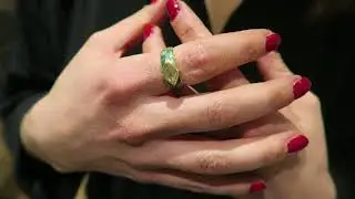 Trunkshow Brooke Gregson