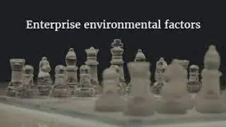 Enterprise Environmental Factors
