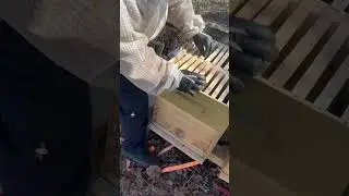 Preparing frames to go into my Baby Mating Nuc boxes. #beekeepingwithdave #beekeeper #beekeeping
