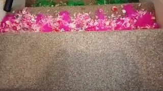 Colourful Shower Vac