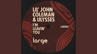 Im Leavin' You (Red Dog Mix)