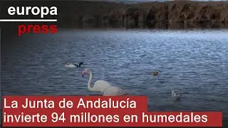 La Junta invierte 94 millones en restaurar y conservar humedales andaluces desde 2019
