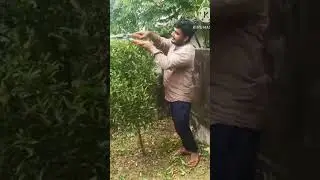 #gardening #lifestyle#vlog tree saving