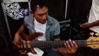 Teste timbre ledur  felino bass