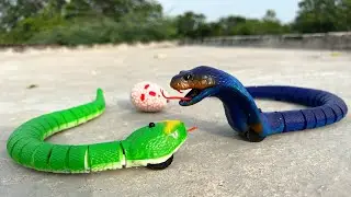 Rc Rattlesnake Unboxing and Testing
