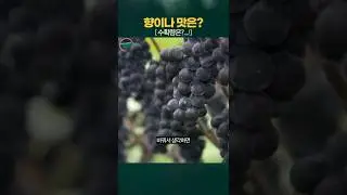 유기농으로 농사를 짓자!