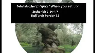 Behaalotcha HafTorah Portion 36
