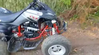 IL MIO QUAD 250 CC