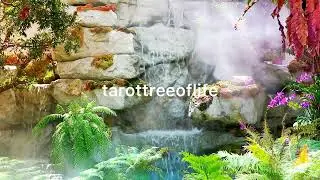 Зелёная Тара + Рейки Исцеление от tarottreeoflife Решам Камбодж