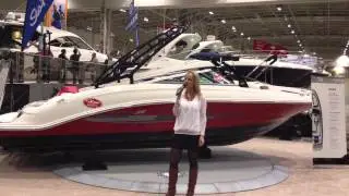 SKYLINE MARINA 2013 SEA RAY 21 JET TORONTO INTERNATIONAL BOAT SHOW