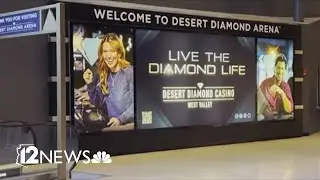 First look at the new upgrades at Desert Diamond Arena