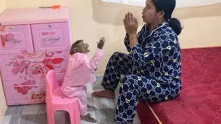 Monkey Jason Determine To Win Play Guess Candy Wit Mom Joking Trick😂