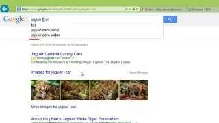 Google Search Using the 