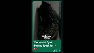 Statu WhatsApp Snor Dawk Liya