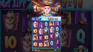 Pug Life Un bon BONUS!! #slot #gaming #casino #maxwin #live #jackpot #streamer #bigwin  #slotmachine