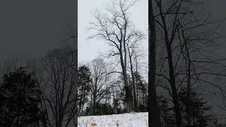 Snow in North Carolina USA 🇺🇸