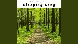 REM Route Nature Sounds