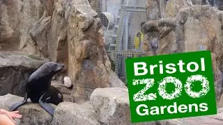 The Final Ever Animal Talk at Bristol Zoo Clifton | Seals | 3rd September 2022 (BONUS VIDEO)